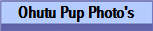 Ohutu Pup Photo's