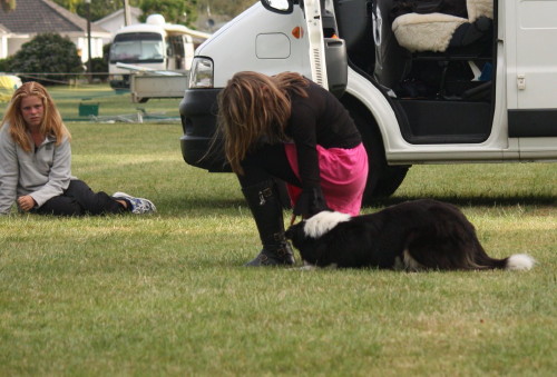 Claire running agility. Photo's taken by Emily O'Brien